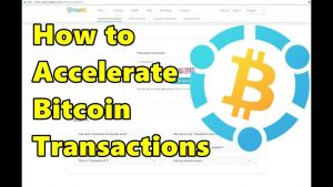 accelerator bitcoin free